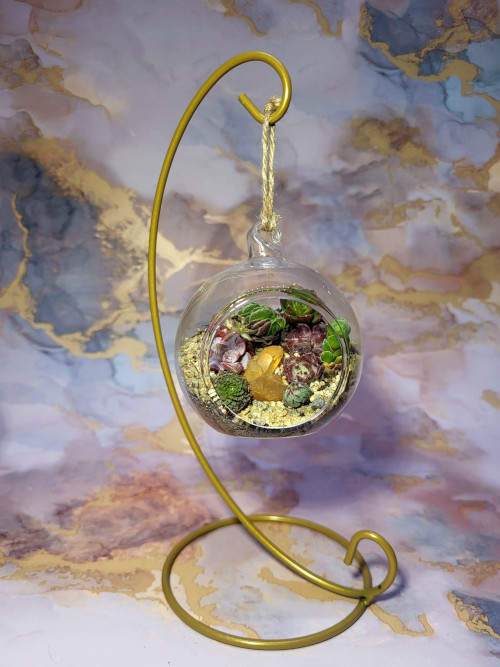 Artifex image - Tonga Small With Stand Succulent